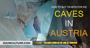 Uncover Austria's Frozen Wonders: Your Guide to Ice Cave Tickets