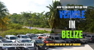 Understanding Vehicle Import Duty in Belize: A Guide to Calculating Costs