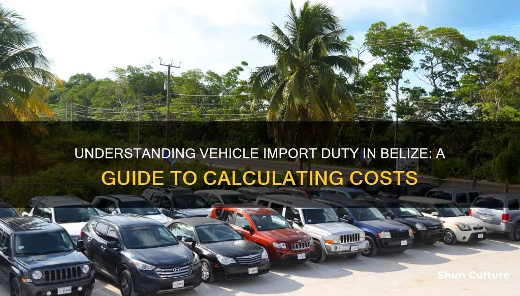 how to calculate duty on your vehicle in belize