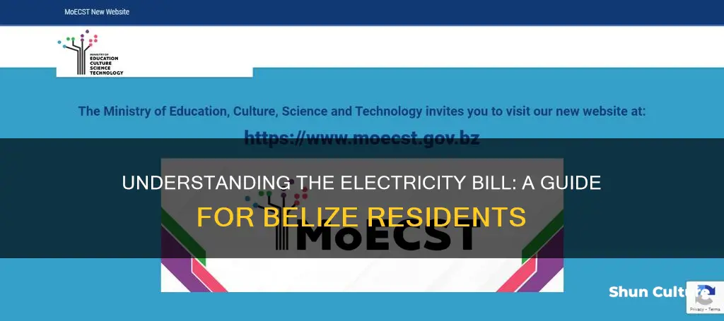 how to calculate electricity bill in belize