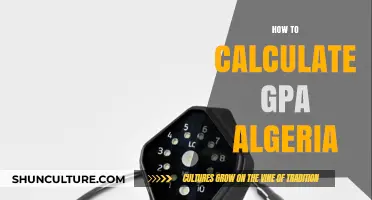 Calculate Your GPA in Algeria: A Step-by-Step Guide