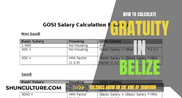 Understanding Gratuity Calculations in Belize: A Comprehensive Guide