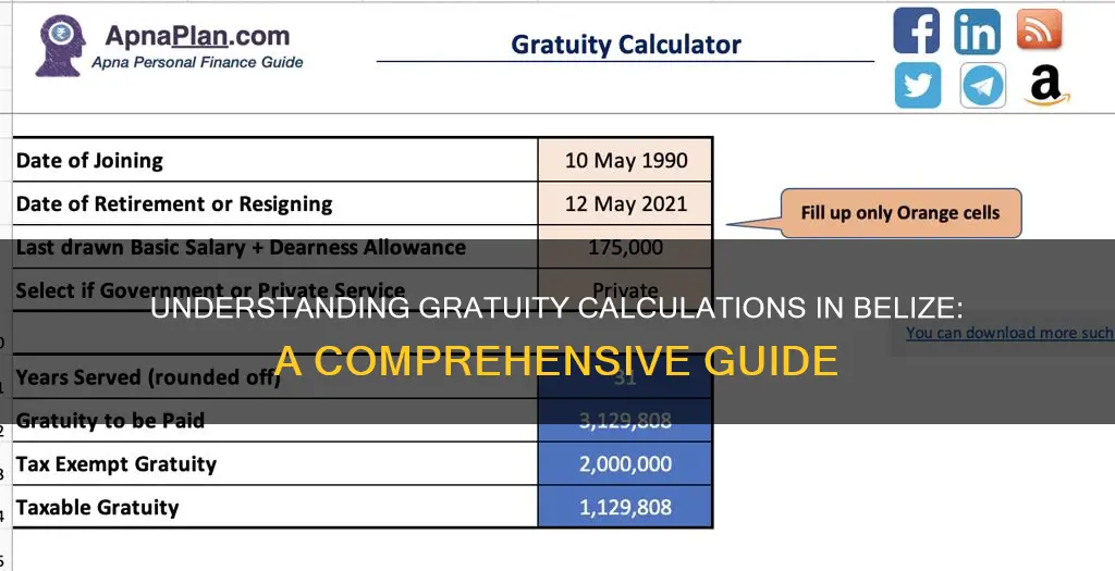 how to calculate gratuity in belize