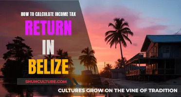 Belize Income Tax Returns: A Step-by-Step Guide to Calculating Your Refund