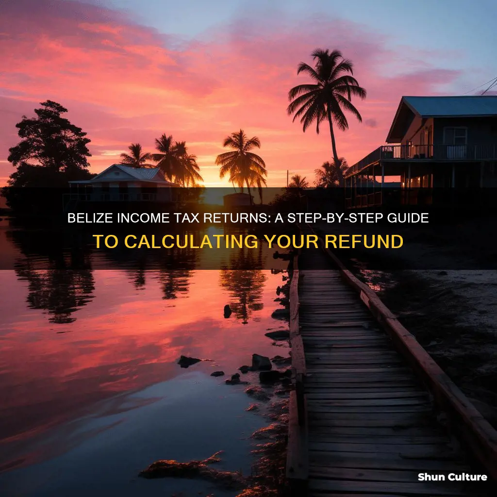 how to calculate income tax return in belize