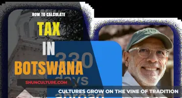 Understanding Botswana's Tax Calculation: A Comprehensive Guide for Residents