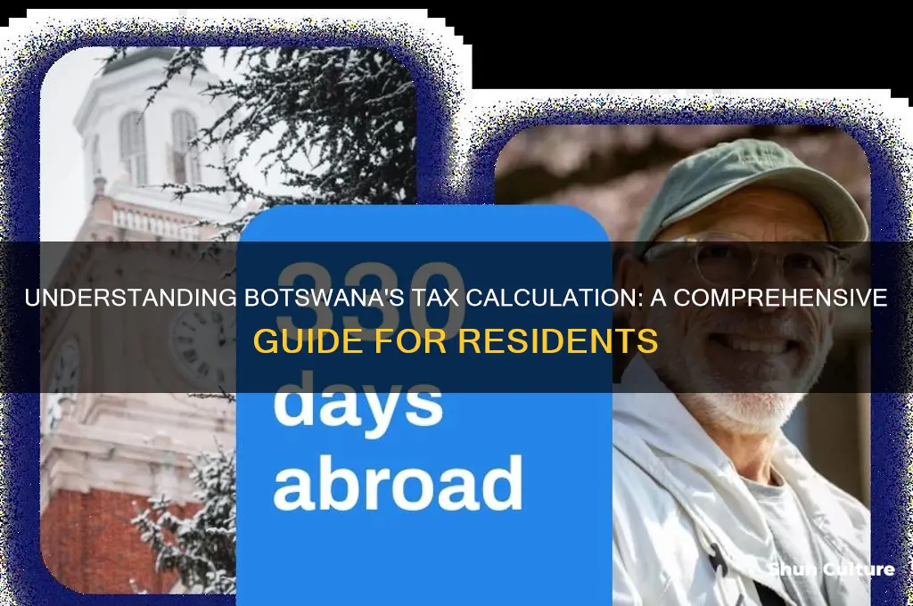 how to calculate tax in botswana