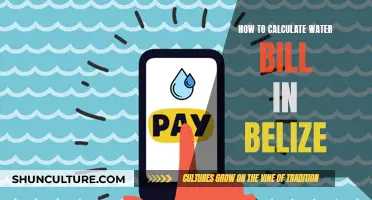 Understanding Your Water Bill: A Guide for Belize Residents