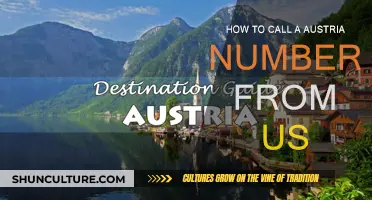 A Guide to Calling Austria: Tips for US Residents