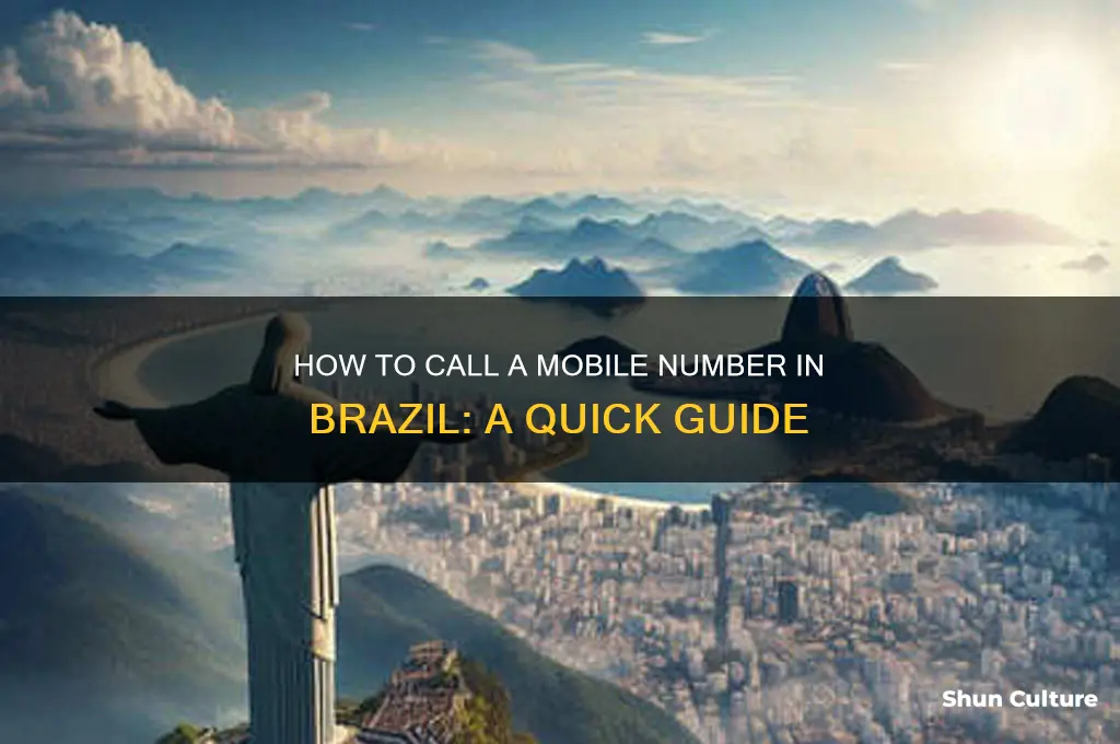 how to call a mobile number in brazil