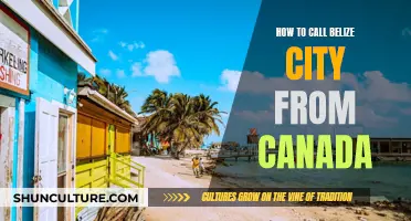 Making International Calls: Dialing Belize City from Canada