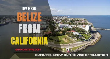 California to Belize: Making the International Call