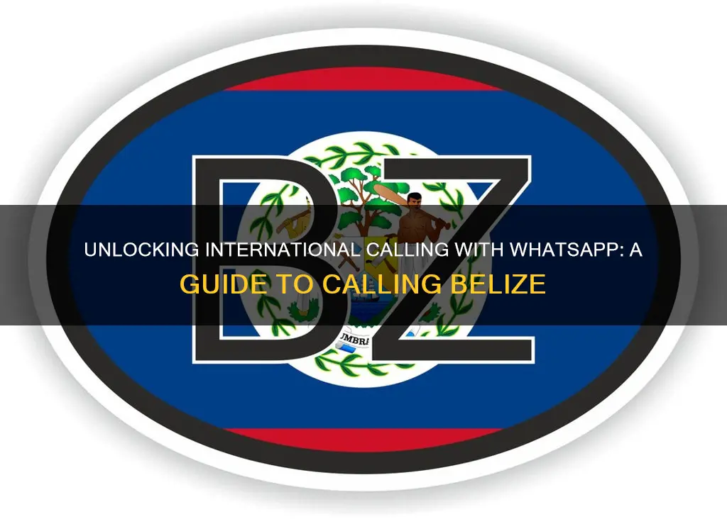 how to call belize on whatsapp