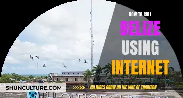 Using the Internet to Call Belize: A Step-by-Step Guide