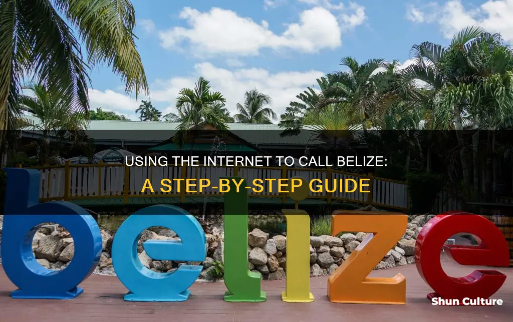 how to call belize using internet