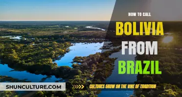 Calling Bolivia from Brazil: A Simple Step-by-Step Guide