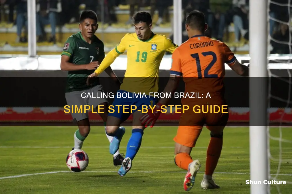 how to call bolivia from brazil