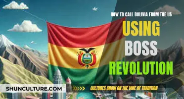 Calling Bolivia from the US with Boss Revolution: Step-by-Step Guide