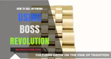 Call Botswana Easily: Boss Revolution Guide for International Calls