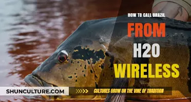 Easy Steps to Call Brazil from H2O Wireless: A Quick Guide