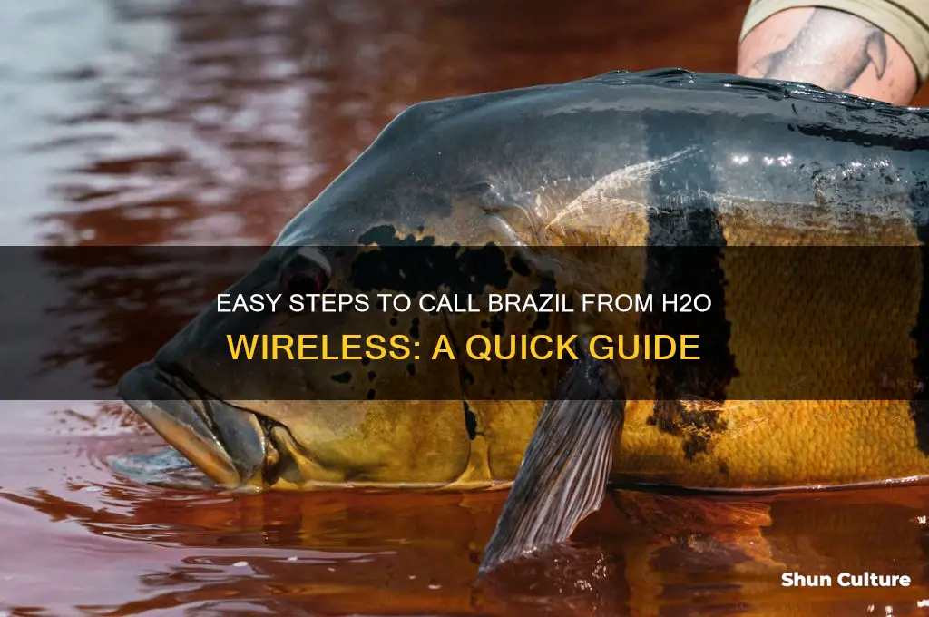 how to call brazil from h2o wireless