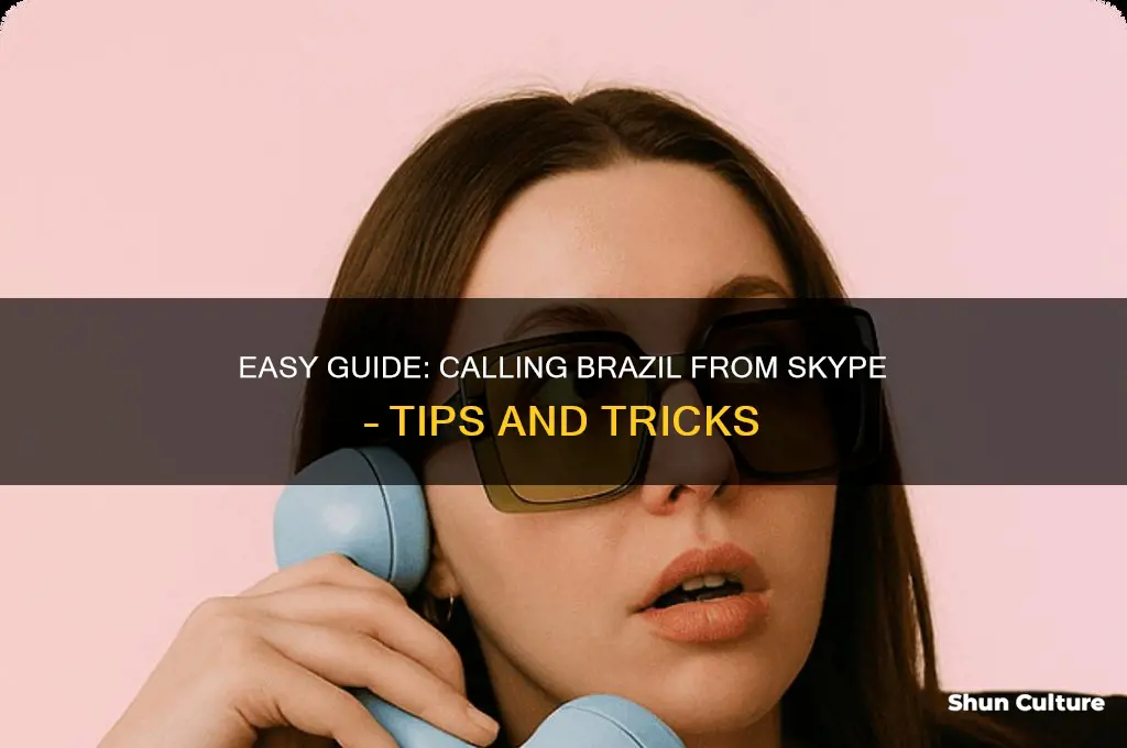 how to call brazil from skype
