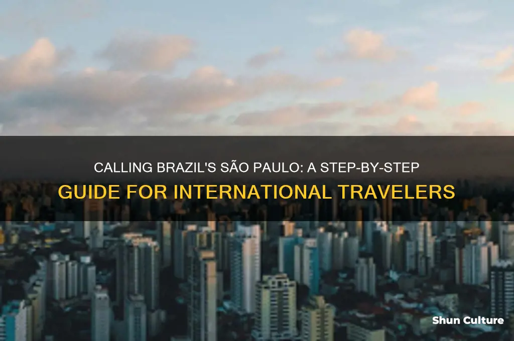 how to call brazil sao paulo