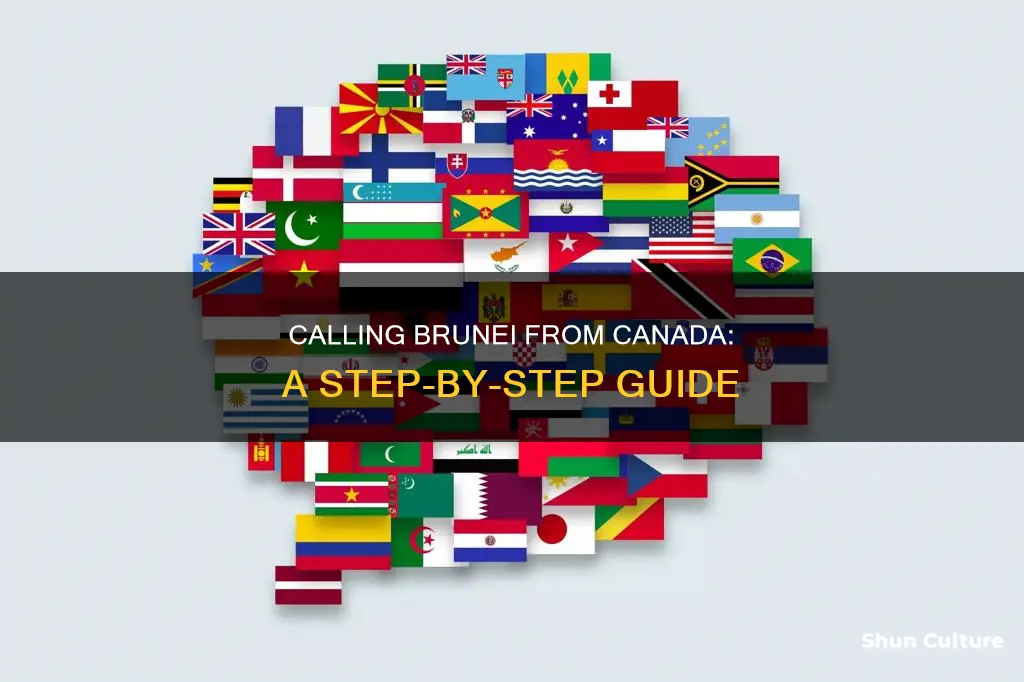 how to call brunei from canada