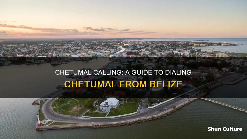 how to call chetumal from belize