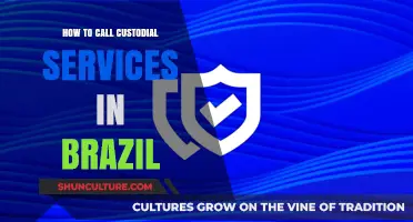 How to Contact Custodial Services in Brazil: A Step-by-Step Guide