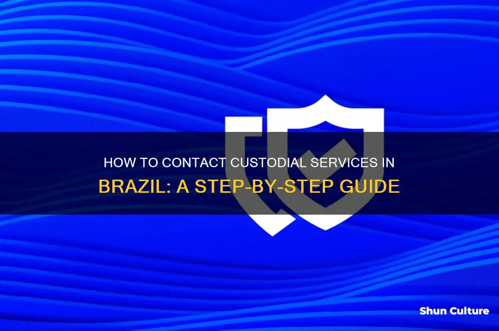 how to call custodial services in brazil