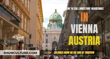 Vienna's Directory Assistance: Quick Tips for a Smooth Call