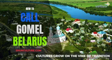 Exploring Gomel, Belarus: A Guide to Calling and More