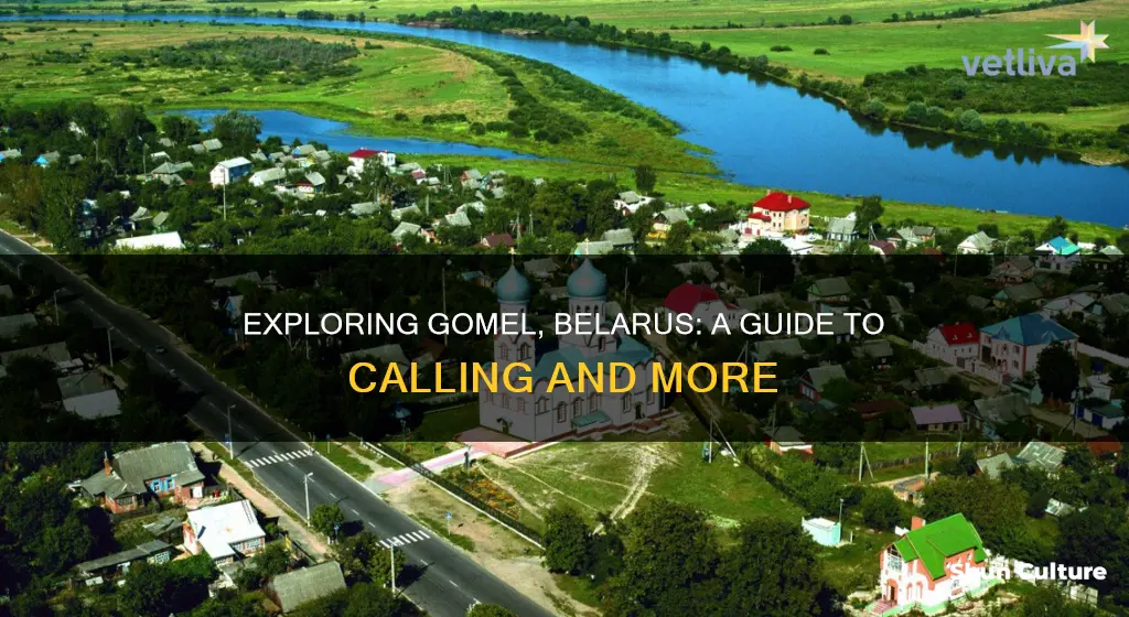 how to call gomel belarus