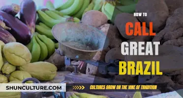 Mastering the Art of Calling Brazil: Tips for a Great Connection
