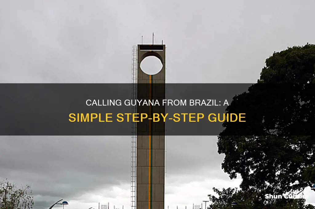 how to call guyana from brazil