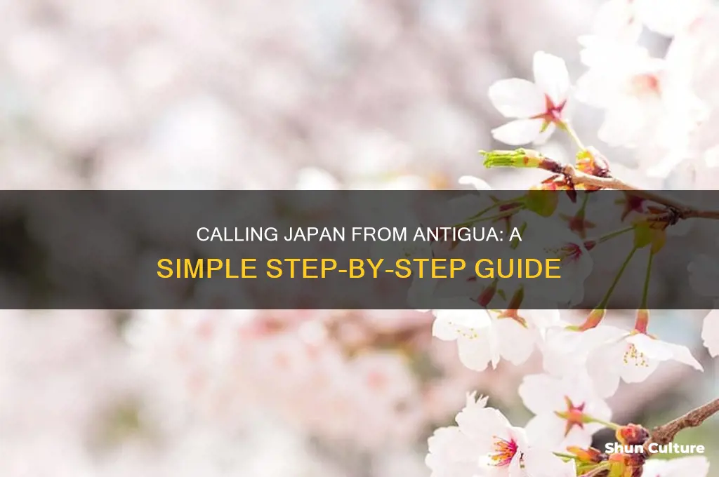 how to call japan from antigua