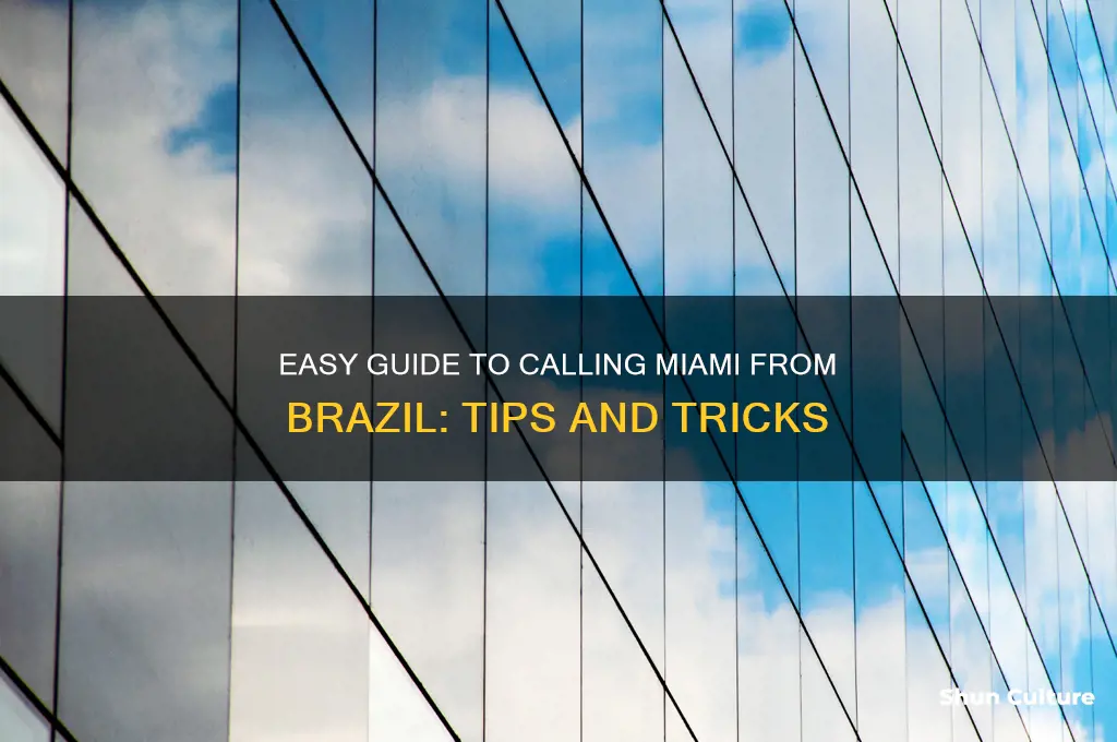 how to call miami from brazil