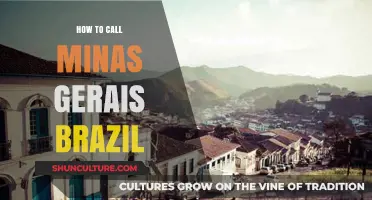 Calling Minas Gerais, Brazil: A Simple Guide to Dialing Correctly