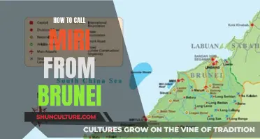 Calling Miri: A Guide from Brunei's Perspective