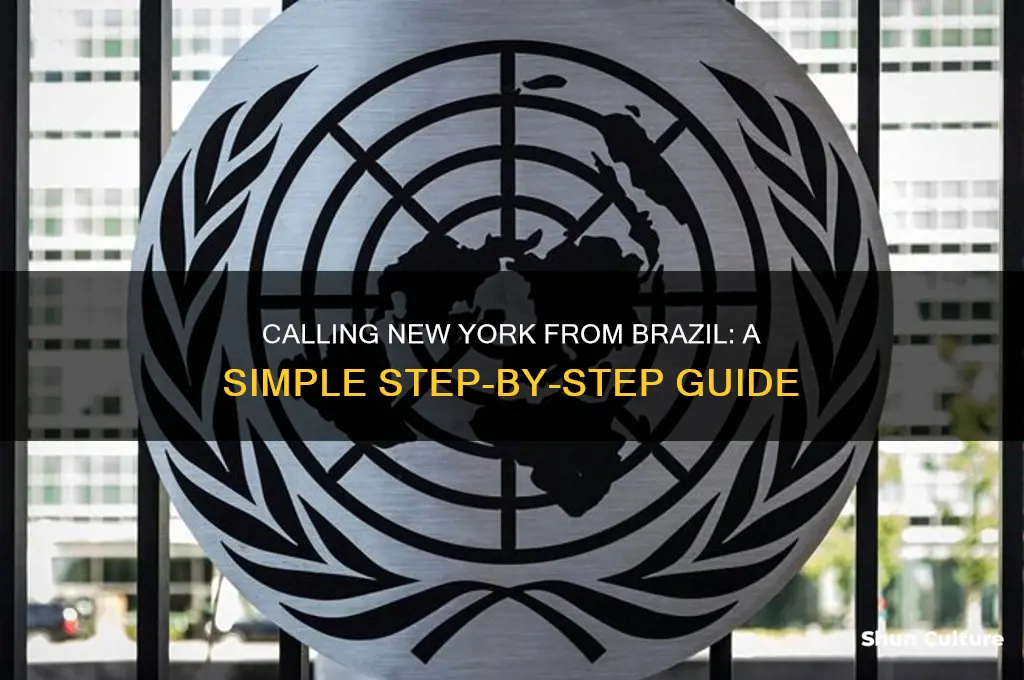 how to call new york from brazil