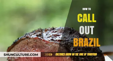 Mastering the Art of Calling Brazil: Tips, Etiquette, and Best Practices
