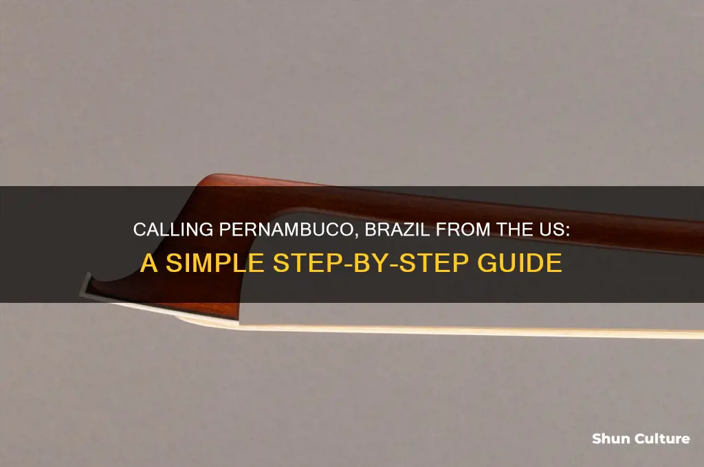 how to call pernambuco brazil from us