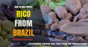 Calling Puerto Rico from Brazil: A Simple Step-by-Step Guide