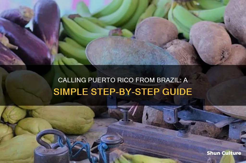 how to call puerto rico from brazil