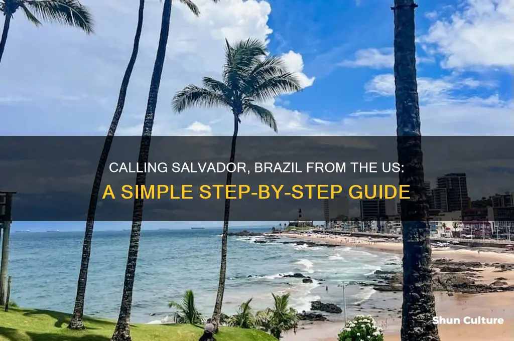 how to call salvador brazil from us
