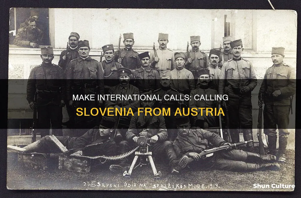 how to call slovenia from austria