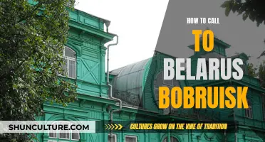 Making Calls to Bobruisk, Belarus: A Step-by-Step Guide