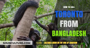 Calling Toronto from Bangladesh: Easy Steps and Tips for International Calls