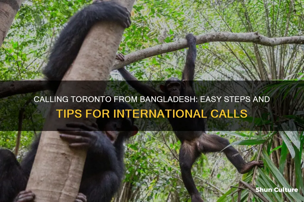 how to call toronto from bangladesh